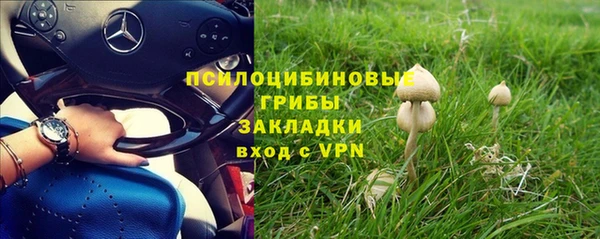 ешки Абинск