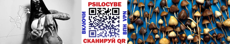 где купить наркотик  Алдан  Псилоцибиновые грибы ЛСД 