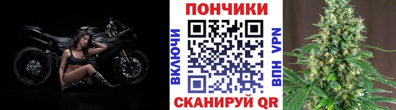 где купить наркотик  Алдан  ссылка на мегу зеркало  МАРИХУАНА марихуана 